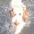 Stacy Brown's profile image