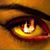 Betty Kirk Bobbitt's profile image