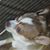 Jeffrey B JM's profile image