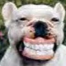 Mike J.'s profile image