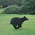 Joe Ragsdale's profile image