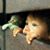 Mohamed Abdo's profile image