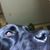 Tess Neeley-Matyi's profile image