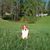 Debbie G. Brock's profile image