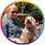 Samantha Denby's profile image