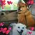 Anna Siu's profile image