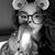 Grace Lentz's profile image