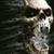 Nick Dale Edwards's profile image