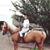 Toni Ann Costanzo Muscat's profile image