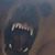 Habius Grabius's profile image