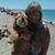 Nancy Dickman's profile image