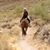 Lainie Jo Dahl's profile image