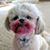 Ginny OBrien's profile image