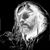 Stephen Doney's profile image