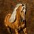 Grace Johnson's profile image