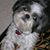 Catherine H. Sotiropoulos's profile image