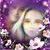 Sherry Fernandes's profile image