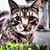 Doris Tessner Mc Collester's profile image