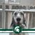 Sandy Saylock's profile image