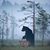 Stacy Williams Carlon's profile image
