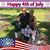 Diane Cerone's profile image