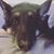 Nicole Martin's profile image