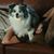 Dawn Murrell's profile image