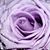 Janice Greg Chorpenning's profile image