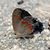 Chrissy Redford's profile image