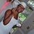 Tneshela Boyd-Jones's profile image