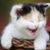 Michele Zalesky's profile image