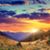 Carole Lezak's profile image