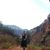 Coeli Hoover's profile image