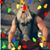 Mike Wilson's profile image