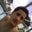 Daniel Lopez's profile image