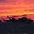 Mark Allen Schmidt's profile image
