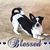 Mary Boyer's profile image
