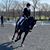Shannon McCormick Davis's profile image