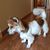 Charley Anderson's profile image