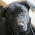 Cathy F Carnes's profile image