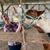 Stephanie Harrington's profile image