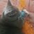 Linda Louise's profile image