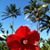 Lisa Wacker's profile image