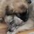 Linda Herring's profile image