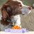 Marilyn Walter's profile image