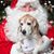 Karen Perry Lund's profile image