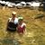 Allyson Wuerth's profile image