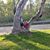 Shane Fairman's profile image
