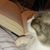 Tommi Marie Prue's profile image