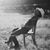 Joshua Keith Mathews's profile image